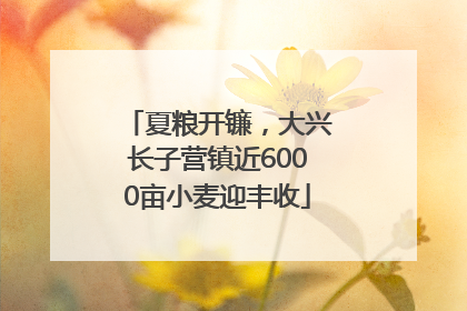 夏粮开镰，大兴长子营镇近6000亩小麦迎丰收