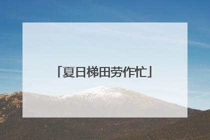 夏日梯田劳作忙