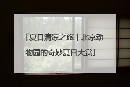夏日清凉之旅丨北京动物园的奇妙夏日大赏