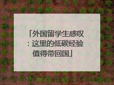 外国留学生感叹：这里的低碳经验值得带回国