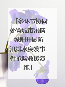 多环节协同处置城市汛情 城阳开展防汛排水突发事件抢险救援演练