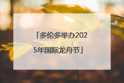 多伦多举办2025年国际龙舟节