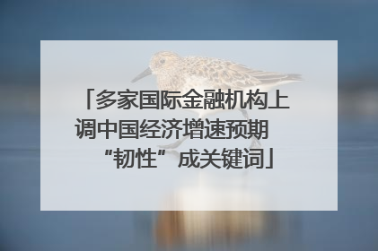 多家国际金融机构上调中国经济增速预期 “韧性”成关键词