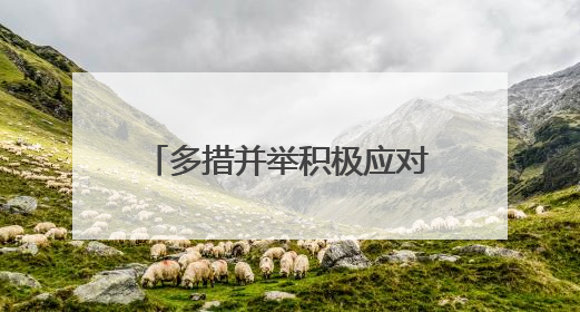 多措并举积极应对全球贸易变局——来自“世界超市”义乌的一线走访