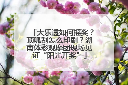 大乐透如何摇奖？顶呱刮怎么印刷？湖南体彩观摩团现场见证“阳光开奖”
