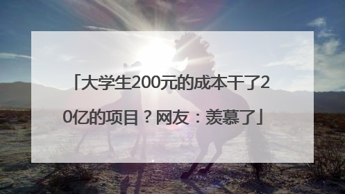 大学生200元的成本干了20亿的项目？网友：羡慕了