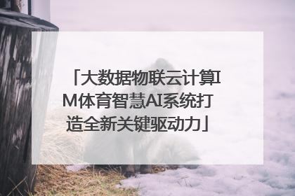 大数据物联云计算IM体育智慧AI系统打造全新关键驱动力