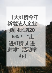 大虹桥今年新增法人企业数同比增20.6%！“走进虹桥 走进进博”活动举办