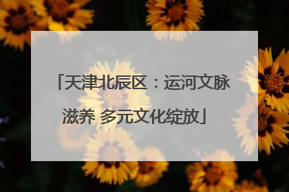 天津北辰区：运河文脉滋养 多元文化绽放
