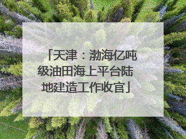 天津：渤海亿吨级油田海上平台陆地建造工作收官