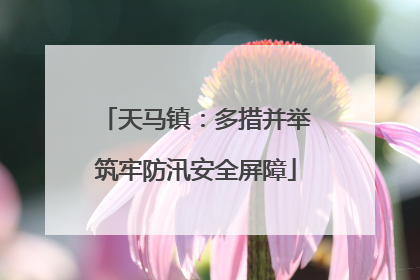 天马镇：多措并举筑牢防汛安全屏障