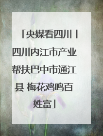 央媒看四川丨四川内江市产业帮扶巴中市通江县 梅花鸡鸣百姓富
