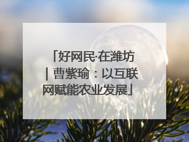 好网民·在潍坊｜曹紫瑜：以互联网赋能农业发展