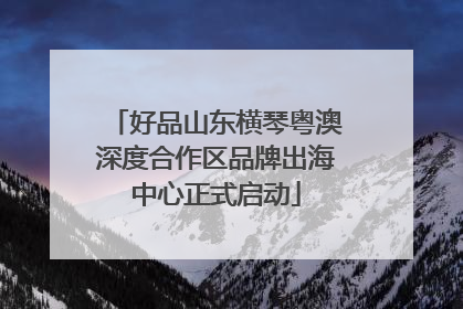 好品山东横琴粤澳深度合作区品牌出海中心正式启动