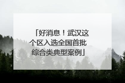 好消息！武汉这个区入选全国首批综合类典型案例