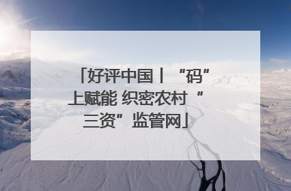 好评中国丨“码”上赋能 织密农村“三资”监管网