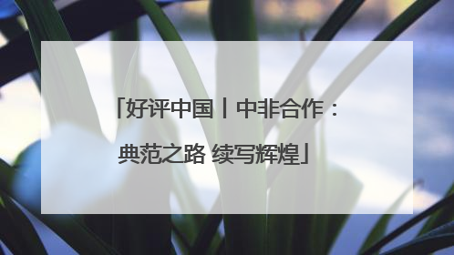 好评中国丨中非合作：典范之路 续写辉煌