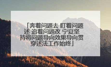 奔着问题去 盯着问题述 追着问题改 宁夏坚持将问题导向效果导向贯穿述法工作始终
