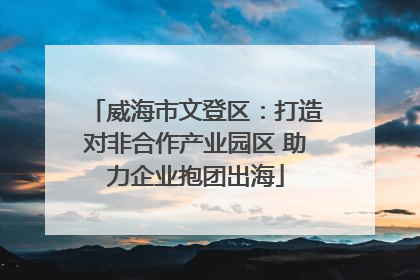 威海市文登区：打造对非合作产业园区 助力企业抱团出海