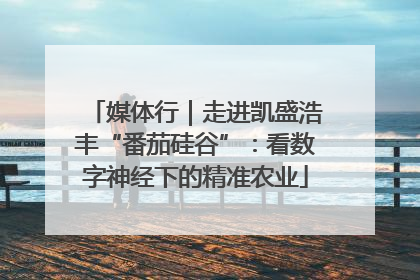 媒体行｜走进凯盛浩丰“番茄硅谷”：看数字神经下的精准农业