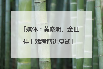 媒体：黄晓明、金世佳上戏考博进复试