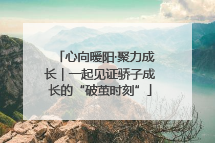 心向暖阳·聚力成长｜一起见证骄子成长的“破茧时刻”