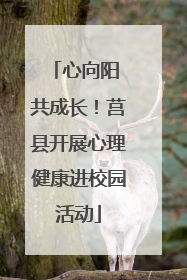 心向阳 共成长！莒县开展心理健康进校园活动