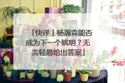 快评丨杨瀚森能否成为下一个姚明？无需轻易给出答案