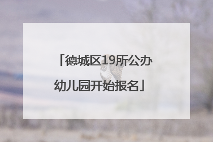 德城区19所公办幼儿园开始报名
