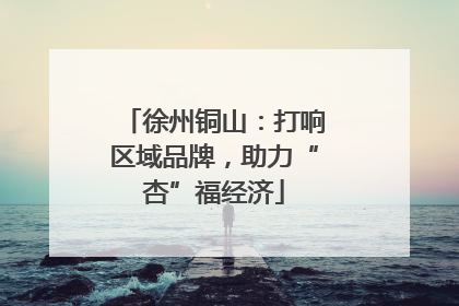 徐州铜山：打响区域品牌，助力“杏”福经济