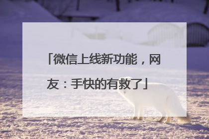 微信上线新功能，网友：手快的有救了