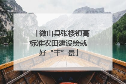 微山县张楼镇高标准农田建设绘就好“丰”景