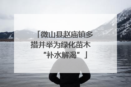 微山县赵庙镇多措并举为绿化苗木“补水解渴”