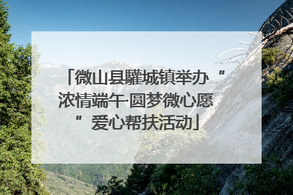 微山县驩城镇举办“浓情端午·圆梦微心愿”爱心帮扶活动
