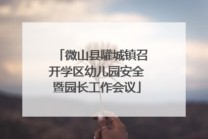 微山县驩城镇召开学区幼儿园安全暨园长工作会议