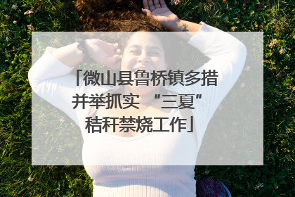 微山县鲁桥镇多措并举抓实 “三夏” 秸秆禁烧工作