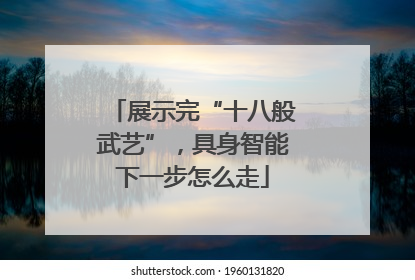 展示完“十八般武艺”，具身智能下一步怎么走
