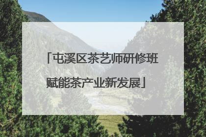 屯溪区茶艺师研修班赋能茶产业新发展