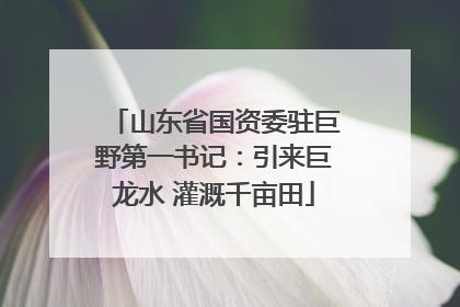 山东省国资委驻巨野第一书记：引来巨龙水 灌溉千亩田