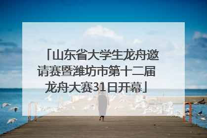 山东省大学生龙舟邀请赛暨潍坊市第十二届龙舟大赛31日开幕