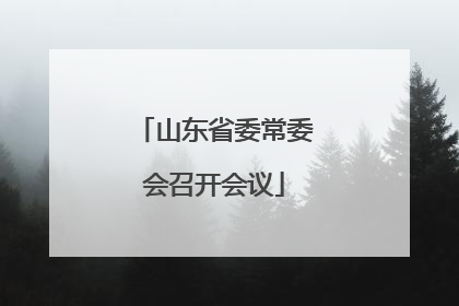 山东省委常委会召开会议
