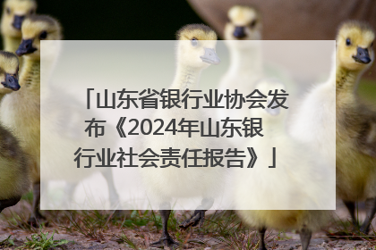 山东省银行业协会发布《2024年山东银行业社会责任报告》