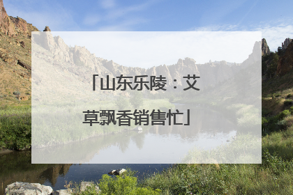 山东乐陵：艾草飘香销售忙