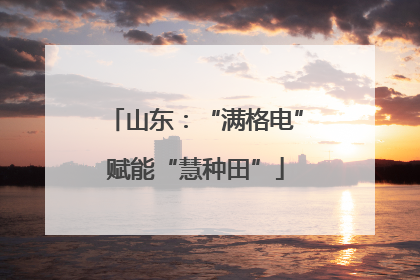 山东：“满格电”赋能“慧种田”