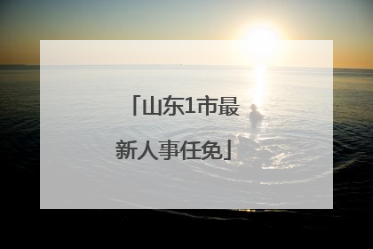 山东1市最新人事任免