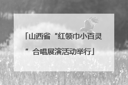 山西省“红领巾小百灵”合唱展演活动举行