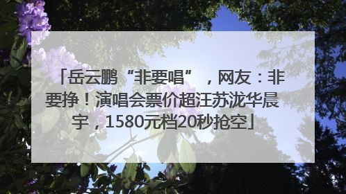岳云鹏“非要唱”，网友：非要挣！演唱会票价超汪苏泷华晨宇，1580元档20秒抢空