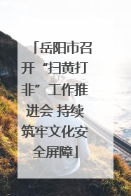岳阳市召开“扫黄打非”工作推进会 持续筑牢文化安全屏障