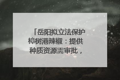 岳阳拟立法保护樟树港辣椒：提供种质资源需审批，违规最高罚5万