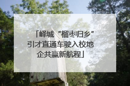 峄城“榴枣归乡”引才直通车驶入校地企共赢新航程